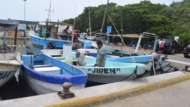 En Progreso, también se ha visto pesca ilegal en embarcaciones