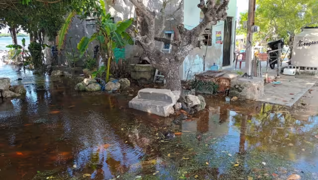 Crecieron las rías y muchos traspatios se cubrieron de agua dulce y salada