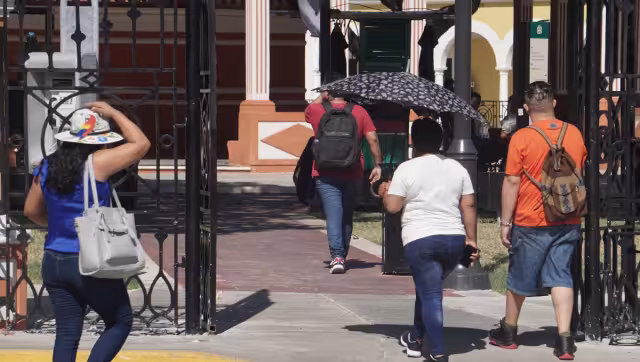 Los casos de dengue en la Península de Yucatán han sumado 10 mil 642 incidencias