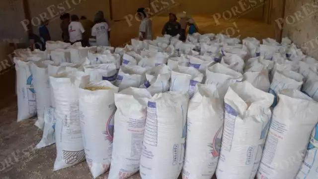 Denuncian favoritismo en Segalmex de El Poste; productores locales quedan al final