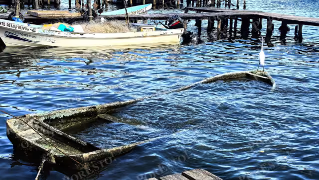 Cooperativas buscan apoyo extraordinario ante desplome de la pesca