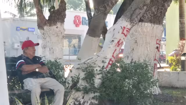 Plaza “Ángel Castillo Lanz” amanece con pintas; vecinos cuestionan seguridad en el centro de Champotón