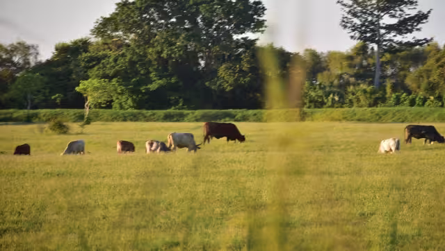 El Gobierno Federal tuvo que intervenir para brindar apoyos a los hombres del campo
