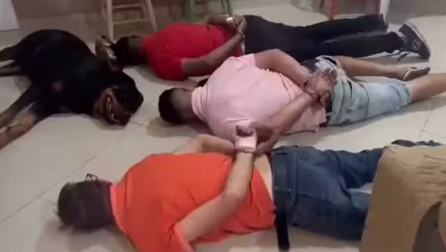 Perro "narco" causa ternura al rendirse ante la policía en operativo