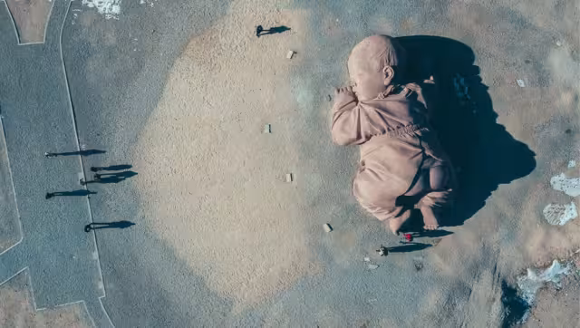 El bebé mide más de 15 metros de largo y 9 de alto