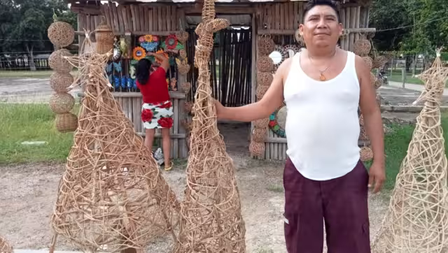 Pueden durar muchos años, pero en caso que la gente no quiera conservarlos, puede tirarlos y se pudrirán en poco tiempo.