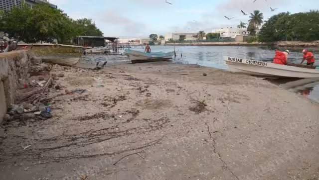 Sociedad Cooperativa “Escameros del Golfo” exige respuesta a autoridades