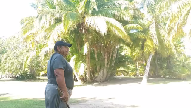 Sostuvo que en el terreno cuenta con más de 5 mil plantas de diferentes tamaños ubicados por sus variedades