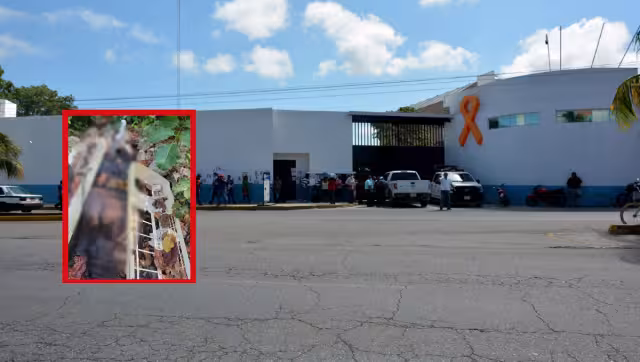 Al lugar llegaron elementos de Seguridad Pública, que confirmaron dicho hallazgo