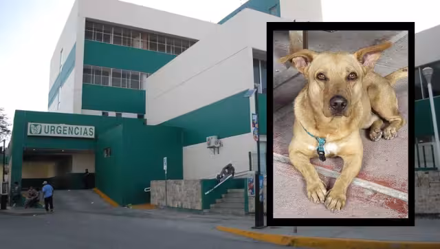 Los reclamos no se hicieron esperar en redes sociales