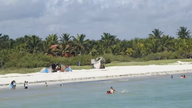 Dentro del plan de recuperación de vegetación se contempla sembrar más plantas y evitar a toda costa que se sigan llevando la arena