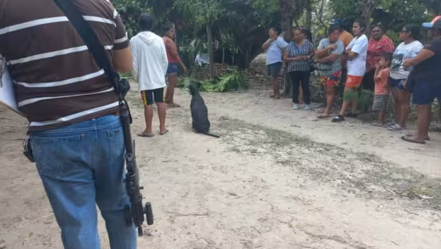 La víctima sufrió una descarga, generando que cayera de varios metros de altura.