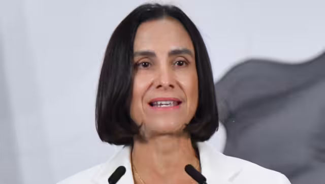 Luz Elena González Escobar, secretaria de Energía
