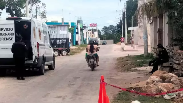 Habitantes de San Sebastián piden la intervención de la Fiscalía para frenar el envenenamiento de canes