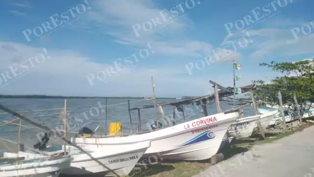 Pescadores de Sabancuy adelantan cierre de temporada de pulpo por bajas capturas