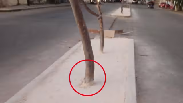 El Ayuntamiento de Kanasín ya trató de arreglar la banqueta mal diseñada