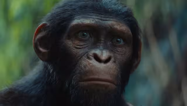 Fue revelado el primer tráiler. Foto: Especial