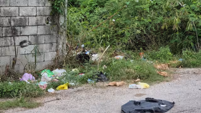 Vecinos y estudiantes piden la intervención urgente del Ayuntamiento ante el tiradero clandestino que genera olores insoportables.