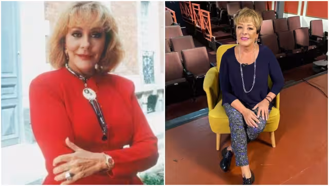 Silvia Pinal es una estrella del Cine de Oro, su talento en la actuación y su impresionante belleza la llevaron a ser una de las mujeres más codiciadas de la época