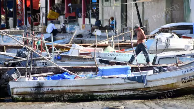 Frentes fríos impulsan captura de sierra: pescadores reportan volúmenes regulares