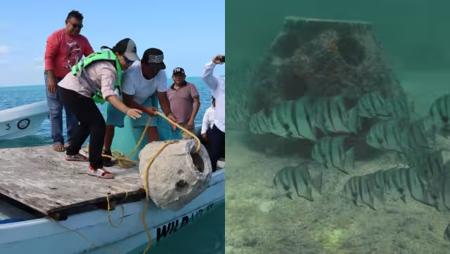 El área podría abrirse a actividades de snorkel
