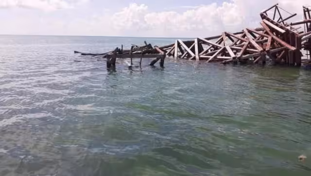 La caída de un rayo y la falta de mantenimiento causó que la madera terminara derribada