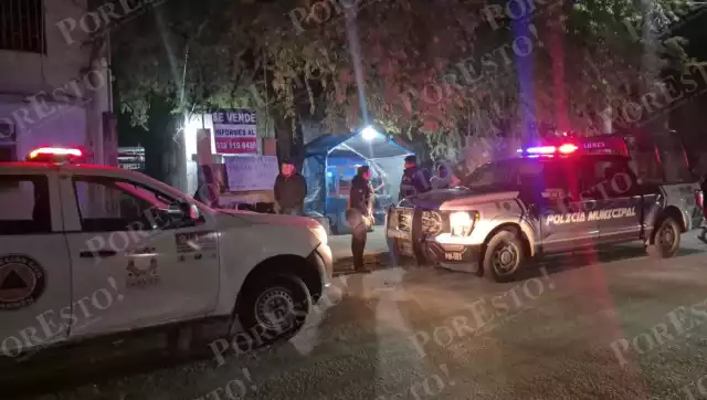 El asesinato de un perro ocurrido el 31 de diciembre de 2025 generó indignación en Ciudad del Carmen.