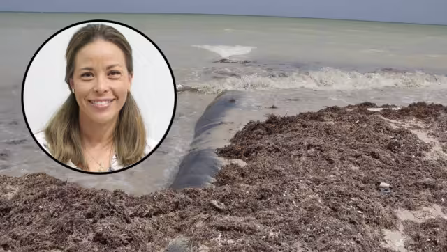 La Secretaría de Desarrollo Sustentable no permitirá la violación a la ley ambiental en Paraíso Sisal