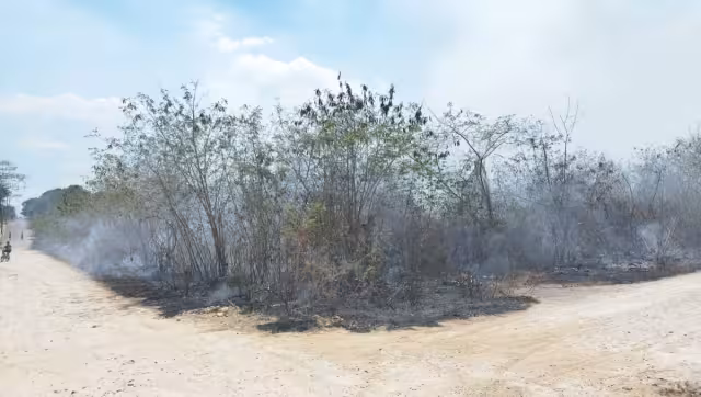 El incendio se habría originado por botellas rotas en José María Morelos