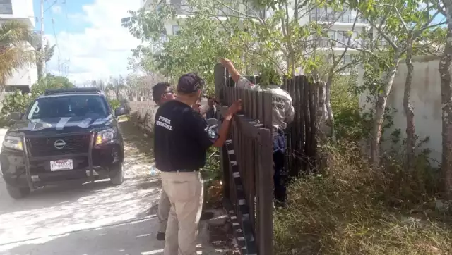 Este tipo de operativos continuarán de forma permanente