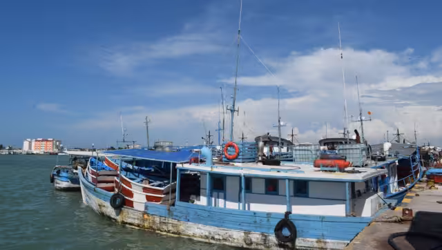 Se invirtieron más de 160 mdp en avituallamiento