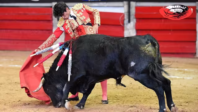 El joven Andrés García resultó corneado mientras llevaba a cabo un tentadero como preparación
