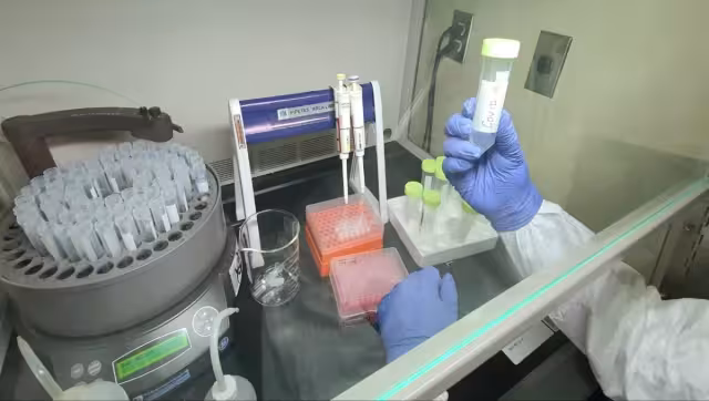 Luego de permanecer un mes en Semáforo Naranja, Campeche se encuentra ahora en Riesgo Medio; es decir, en color Amarillo, lo que significa nuevas medidas menos restrictivas. Foto: Por Esto!