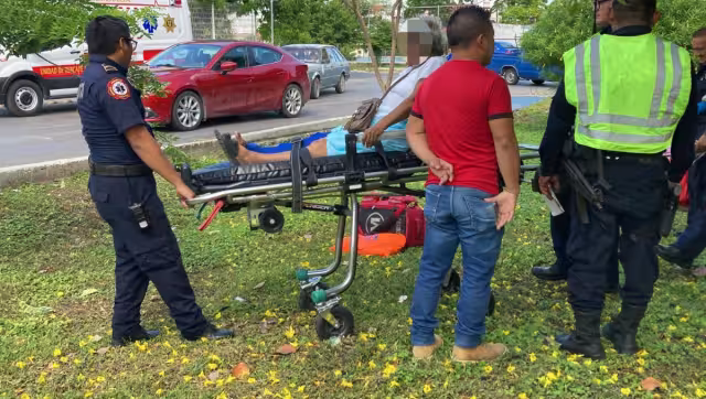 El conductor dijo que frenó, pero le fallaron los frenos y pidió una disculpa a la adulta mayor