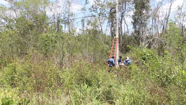 Por este motivo, José María Morelos no tenía teléfono e internet