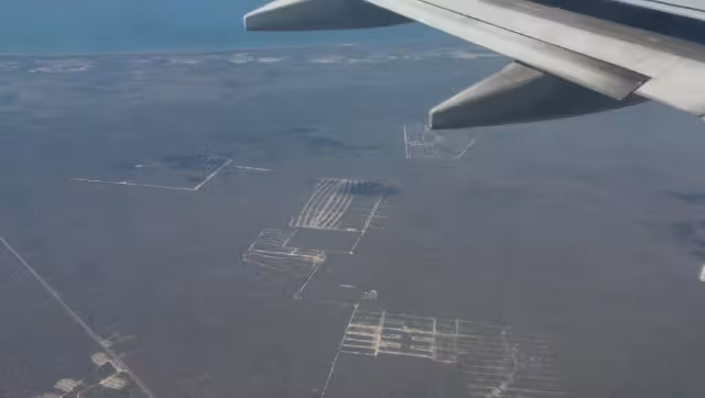 Los megaproyectos inmobiliarios amenazan el hábitat de especies en peligro de extinción