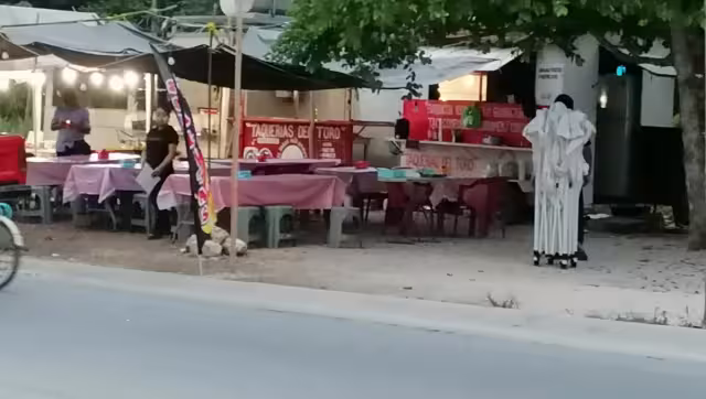 Ante la contaminación generada, los involucrados en ‘Cenotes Urbanos’ perderían el permiso