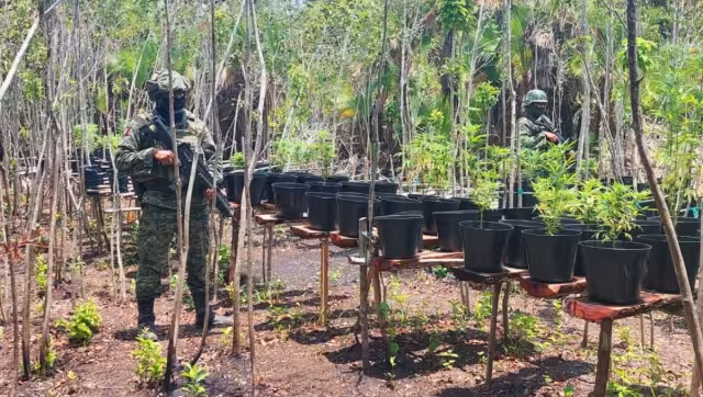 El sitio fue ubicado cerca de la localidad Andrés Quintana Roo