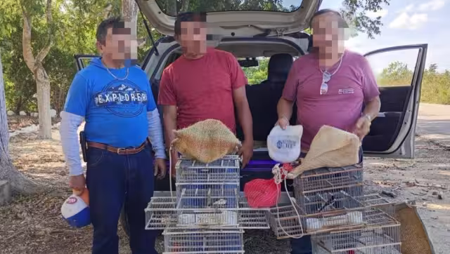 El vehículo fue asegurado y trasladado al corralón para las diligencias correspondientes