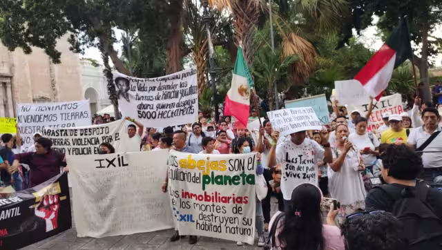 Autoridades federales colocan sellos para frenar obras en el desarrollo Cedrón