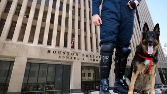 El fuerte calor de Texas llevó a la muerte a un perro policía. Foto: Especial
