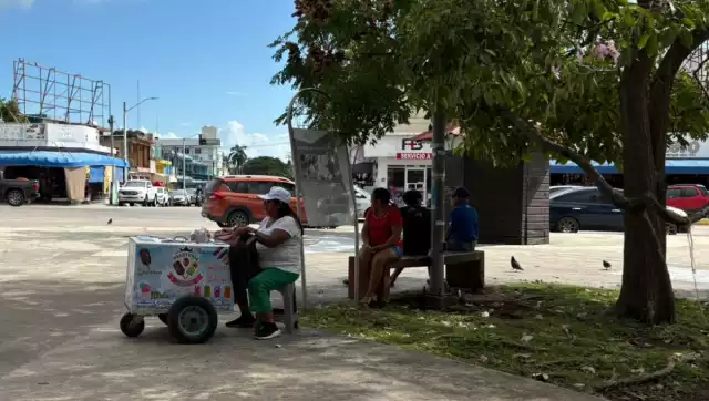 En busca de un mejor futuro, doña Juanita, migrante de Chiapas, dignifica su vida diaria ante su triste pasado