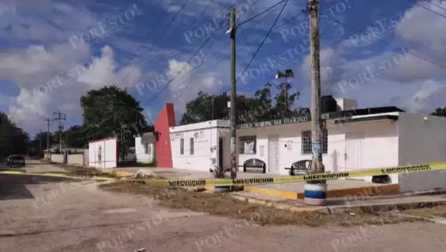 Crueldad animal en Campeche: tres perros hallados sin vida