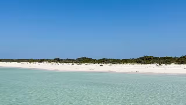 La Carbonera se encuentra en Chuburná, Yucatán