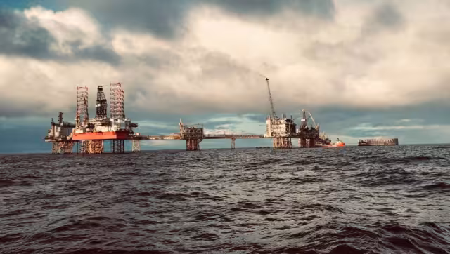 Empresas extranjeras contratan a gente de su lugar para trabajar