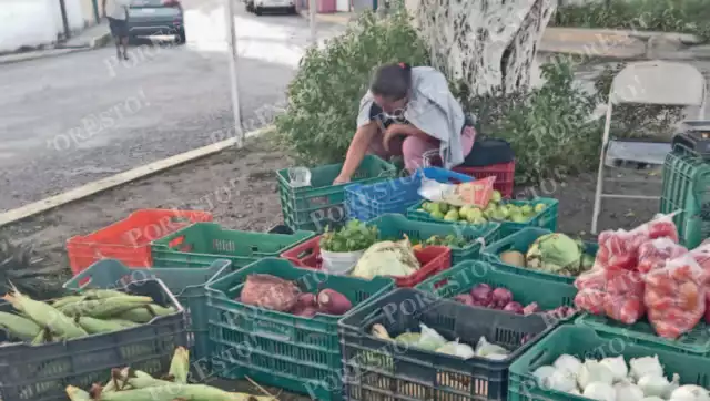 Ejidos de la región abastecen frutas y verduras frescas a la comunidad