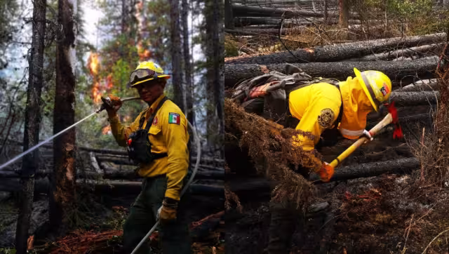 El especialista brindó la ponencia ante más de 150 alumnos