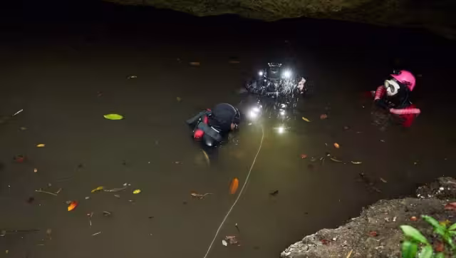 Centro de Investigación Científica de Yucatán realizó la investigación