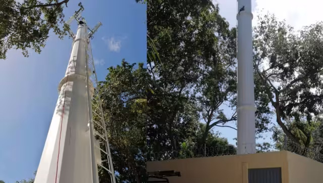 Como el felino no tenía dueño, los rescatistas se lo llevaron