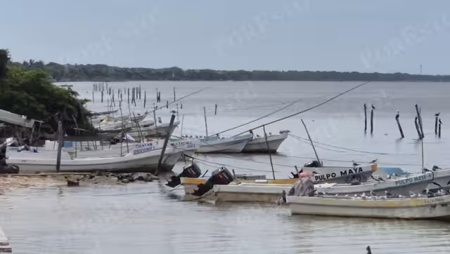 Las actividades pesqueras en el puerto de Champotón se mantienen semiparalizadas por el mal estado del mar.